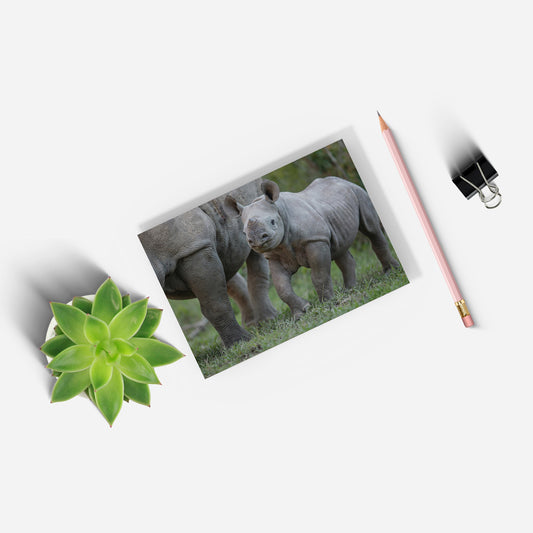 New Beginnings Rhino Calf A5 Notepad by George Logan