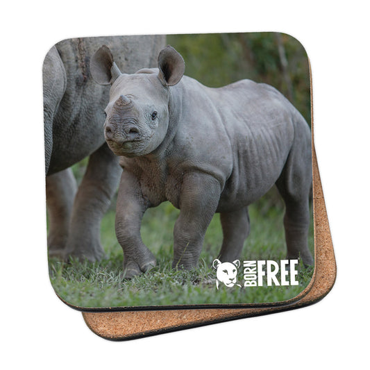 New Beginnings Rhino Calf Coaster by George Logan