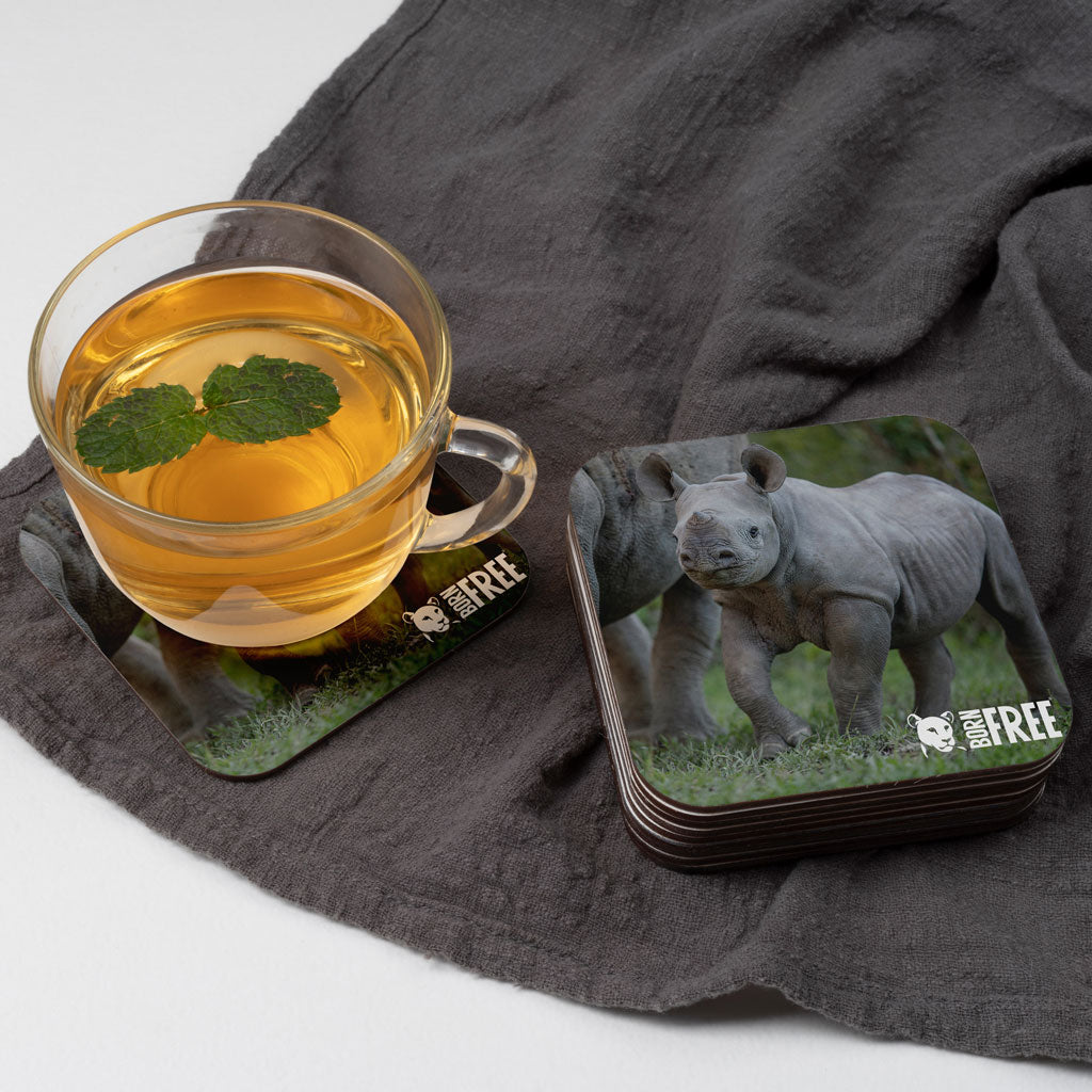 New Beginnings Rhino Calf Coaster by George Logan