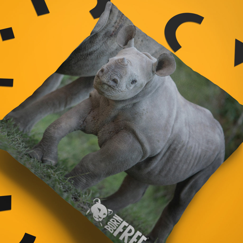 New Beginnings Rhino Calf Organic Cushion by George Logan