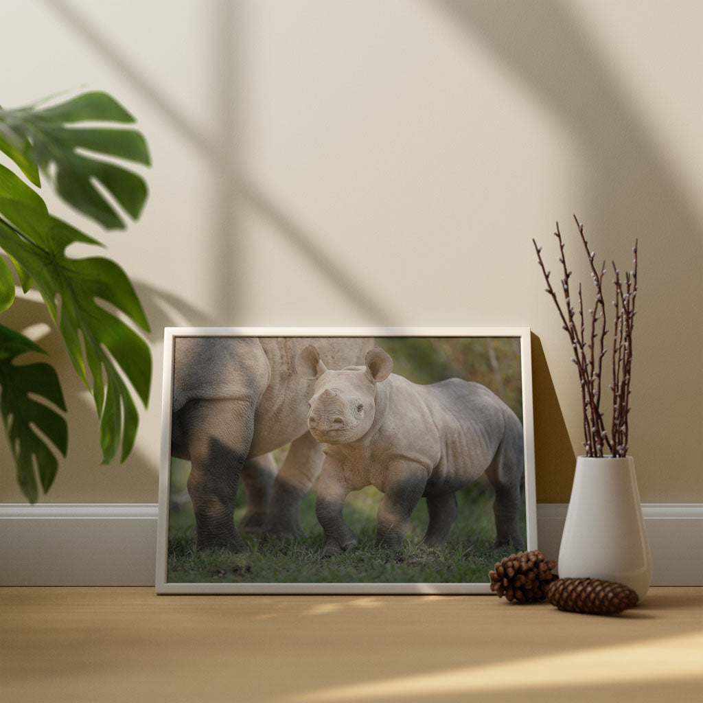New Beginnings Rhino Calf Art Print by George Logan