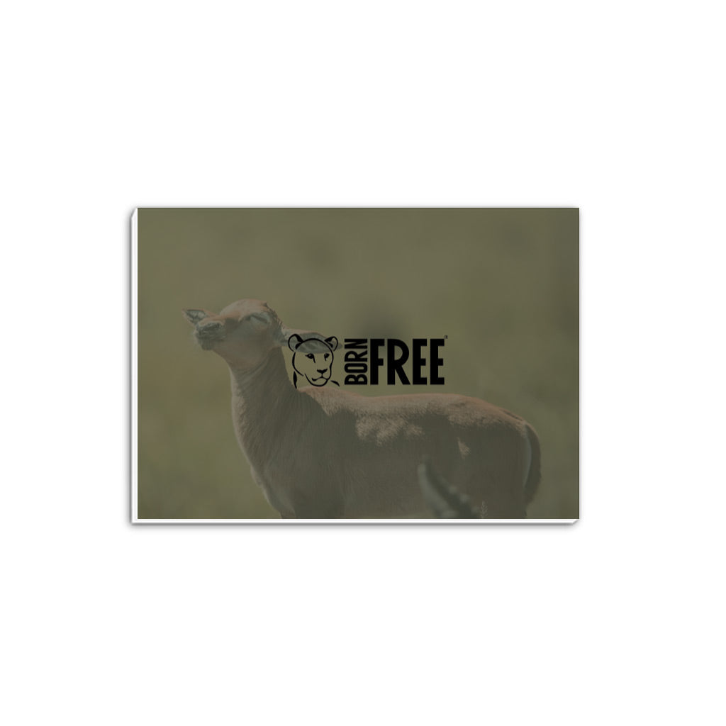 New Beginnings Impala Calf A5 Notepad by George Logan