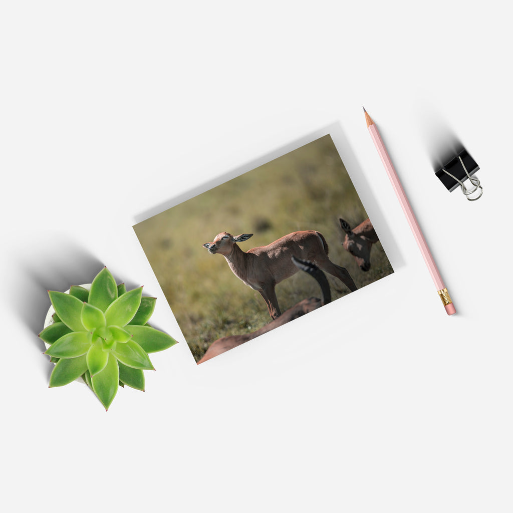 New Beginnings Impala Calf A5 Notepad by George Logan