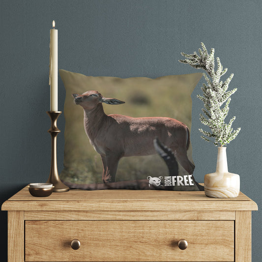 New Beginnings Impala Calf Organic Cushion by George Logan
