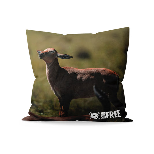 New Beginnings Impala Calf Organic Cushion by George Logan