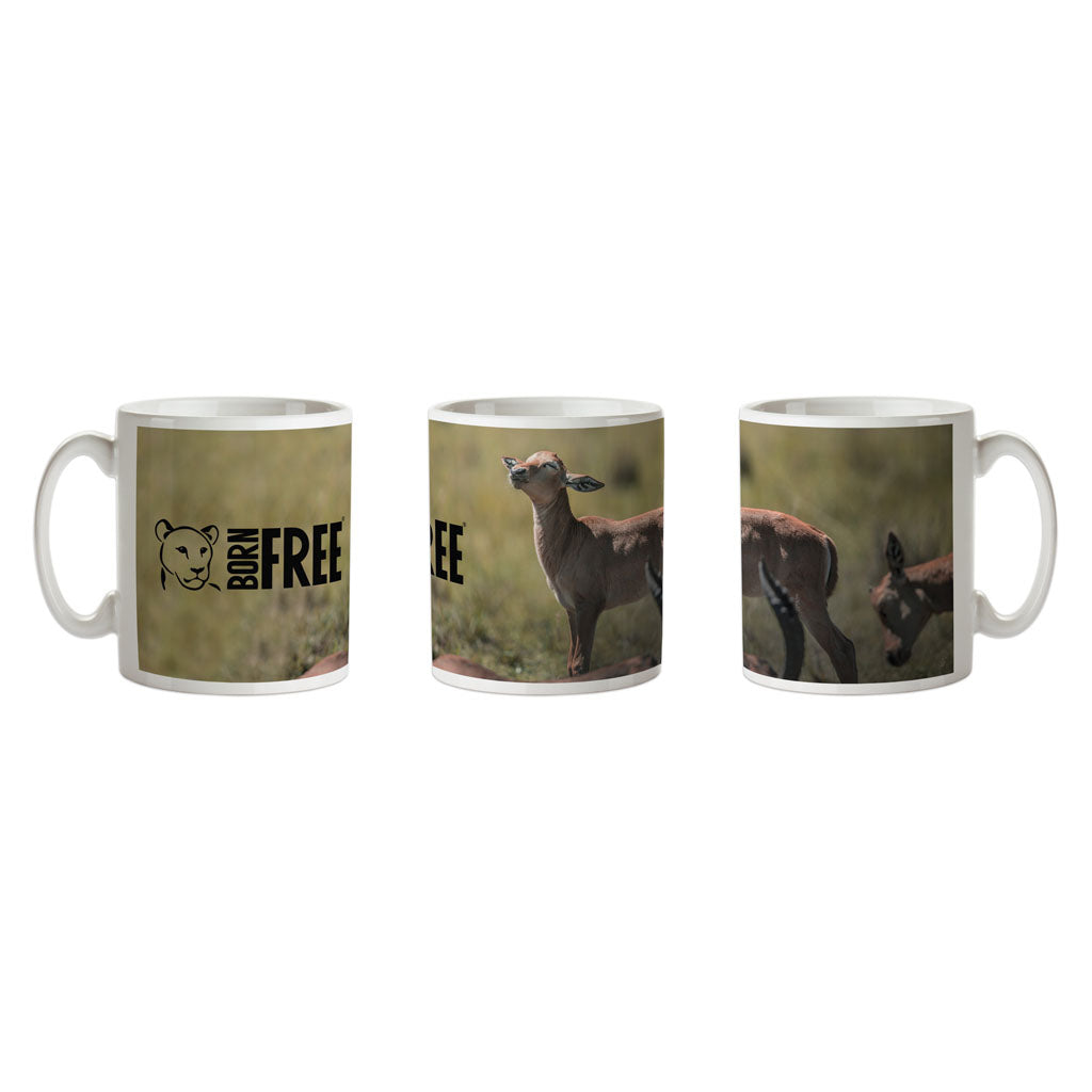 New Beginnings Impala Calf Mug by George Logan