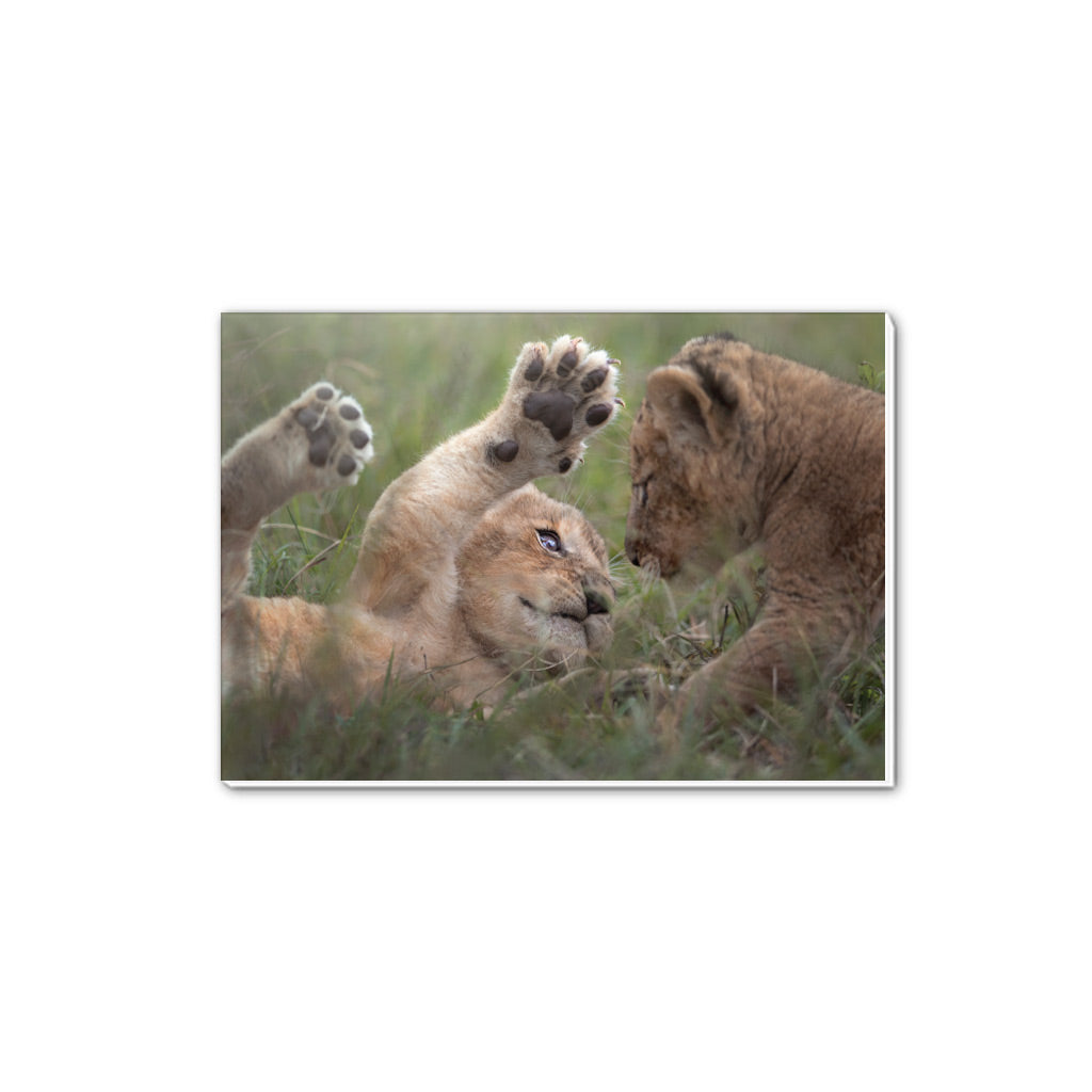 New Beginnings Lion Cubs A5 Notepad by George Logan