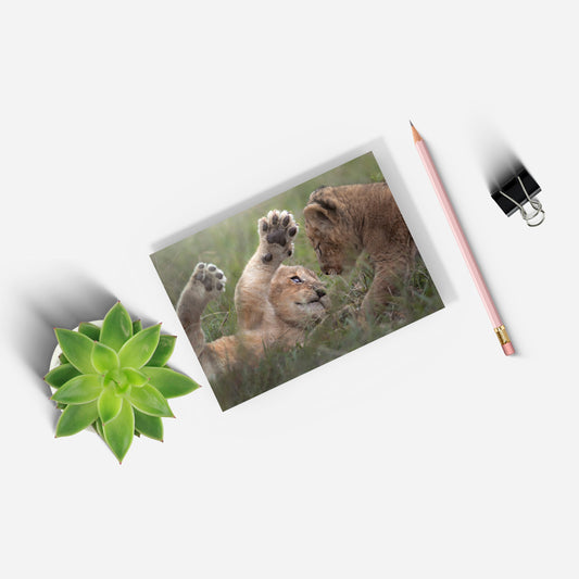 New Beginnings Lion Cubs A5 Notepad by George Logan