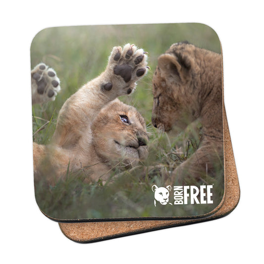 New Beginnings Lion Cubs Coaster by George Logan