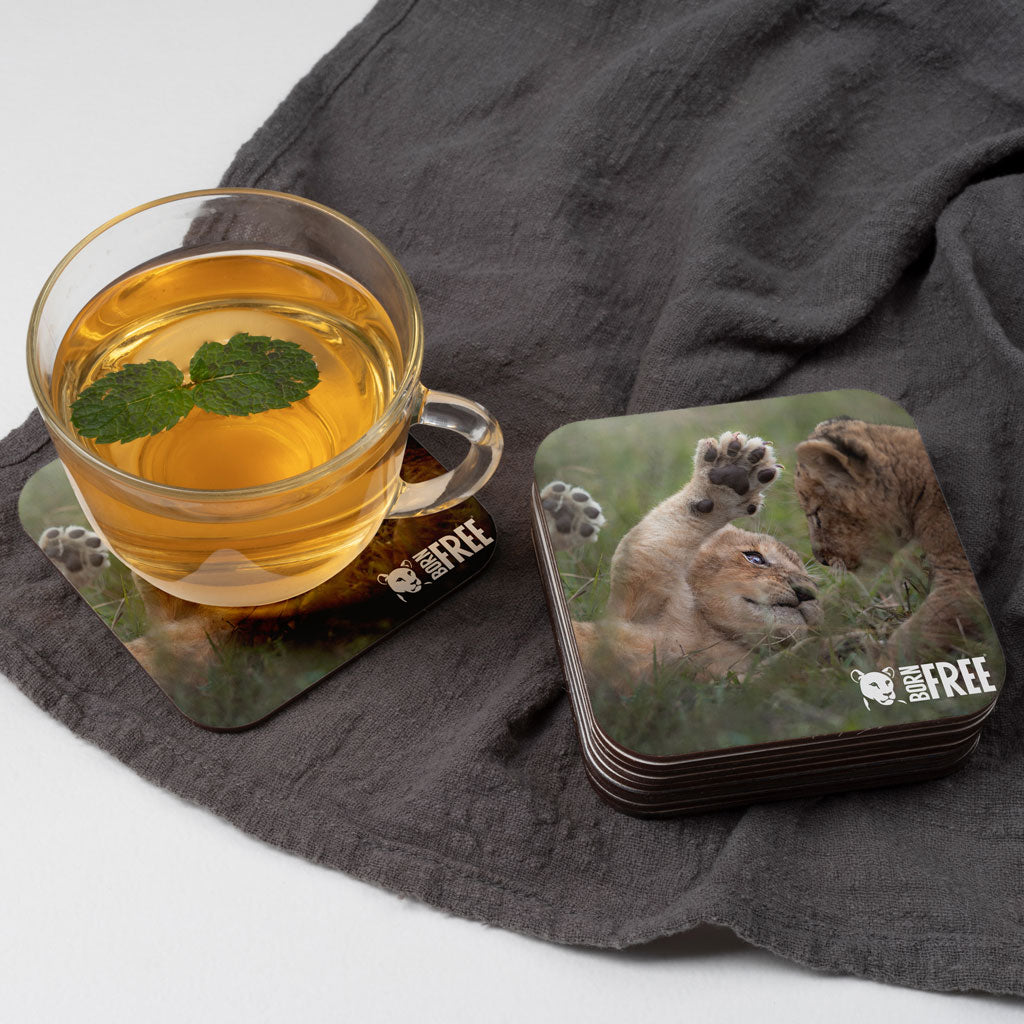 New Beginnings Lion Cubs Coaster by George Logan