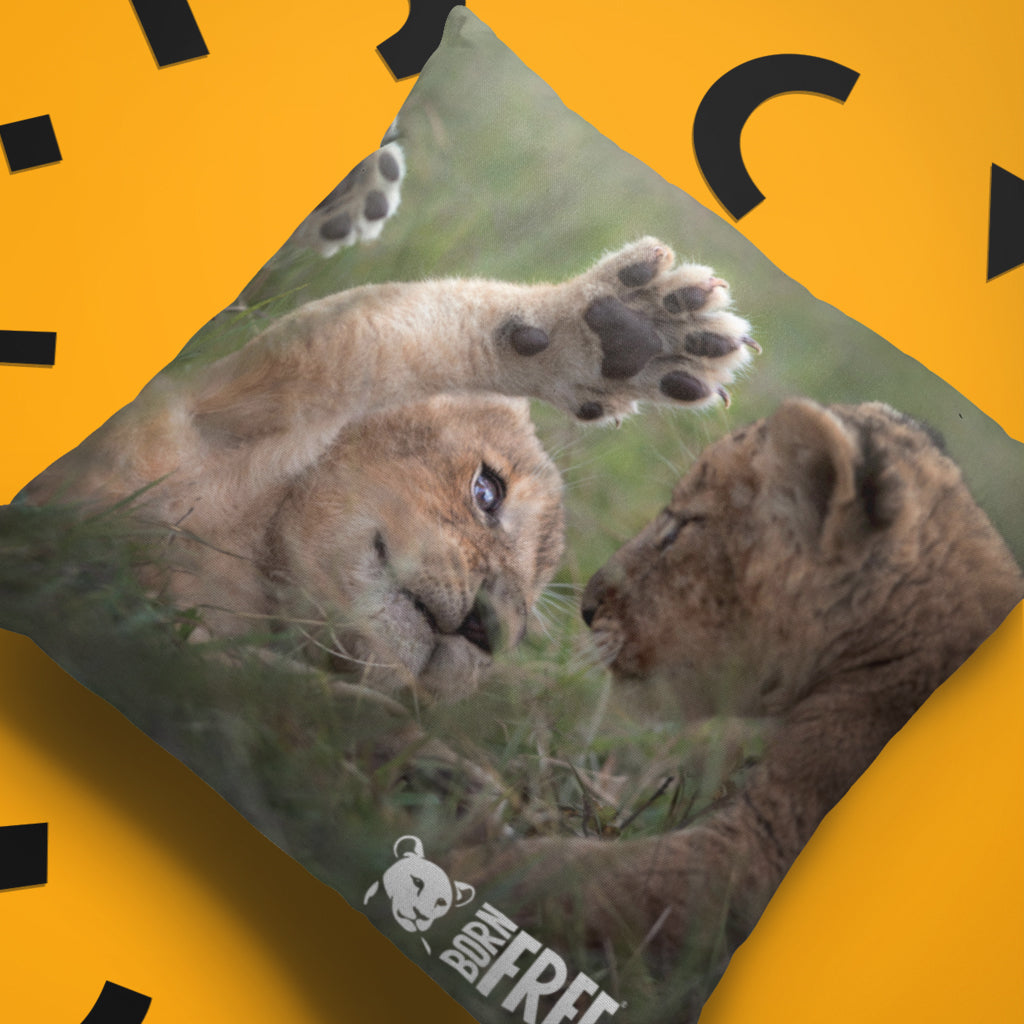 New Beginnings Lion Cubs Organic Cushion by George Logan