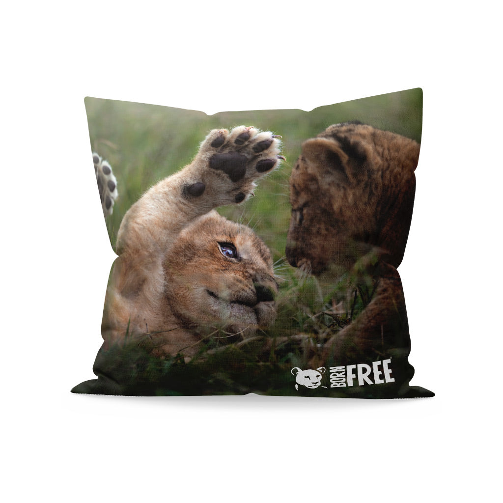 New Beginnings Lion Cubs Organic Cushion by George Logan