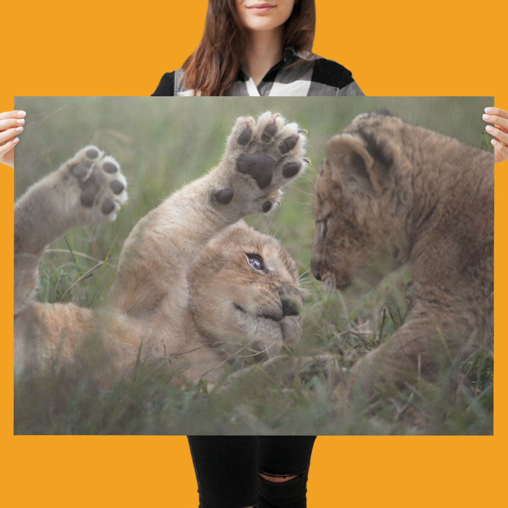 New Beginnings Lion Cubs Art Print by George Logan