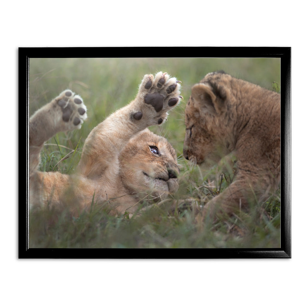 New Beginnings Lion Cubs Art Print by George Logan