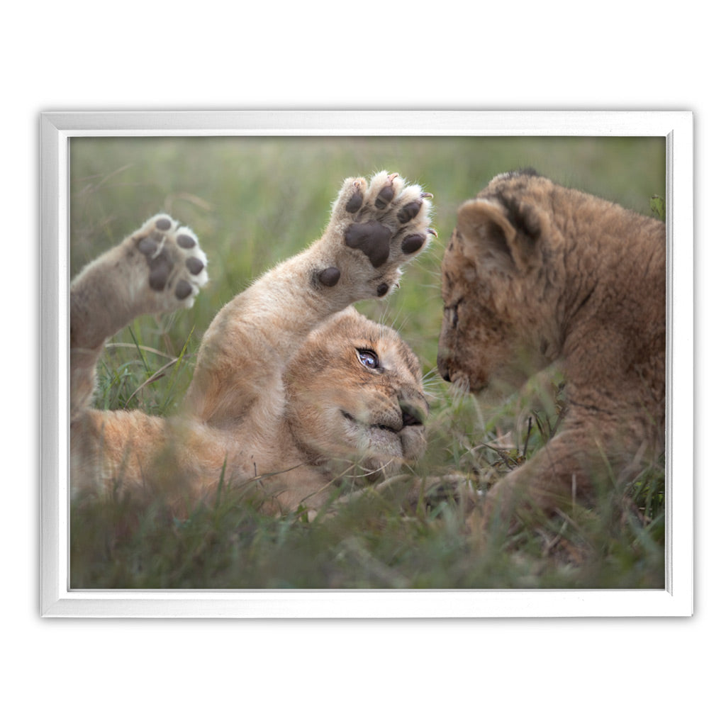 New Beginnings Lion Cubs Art Print by George Logan