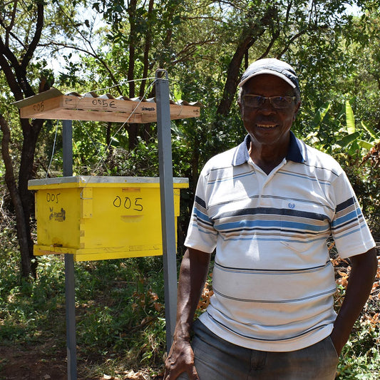 Beehive to save elephants - Virtual Gift