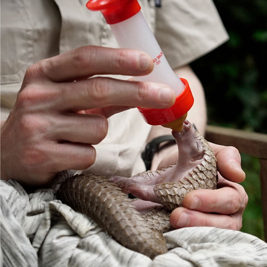 Veterinary and Animal Welfare Support - Virtual Gift