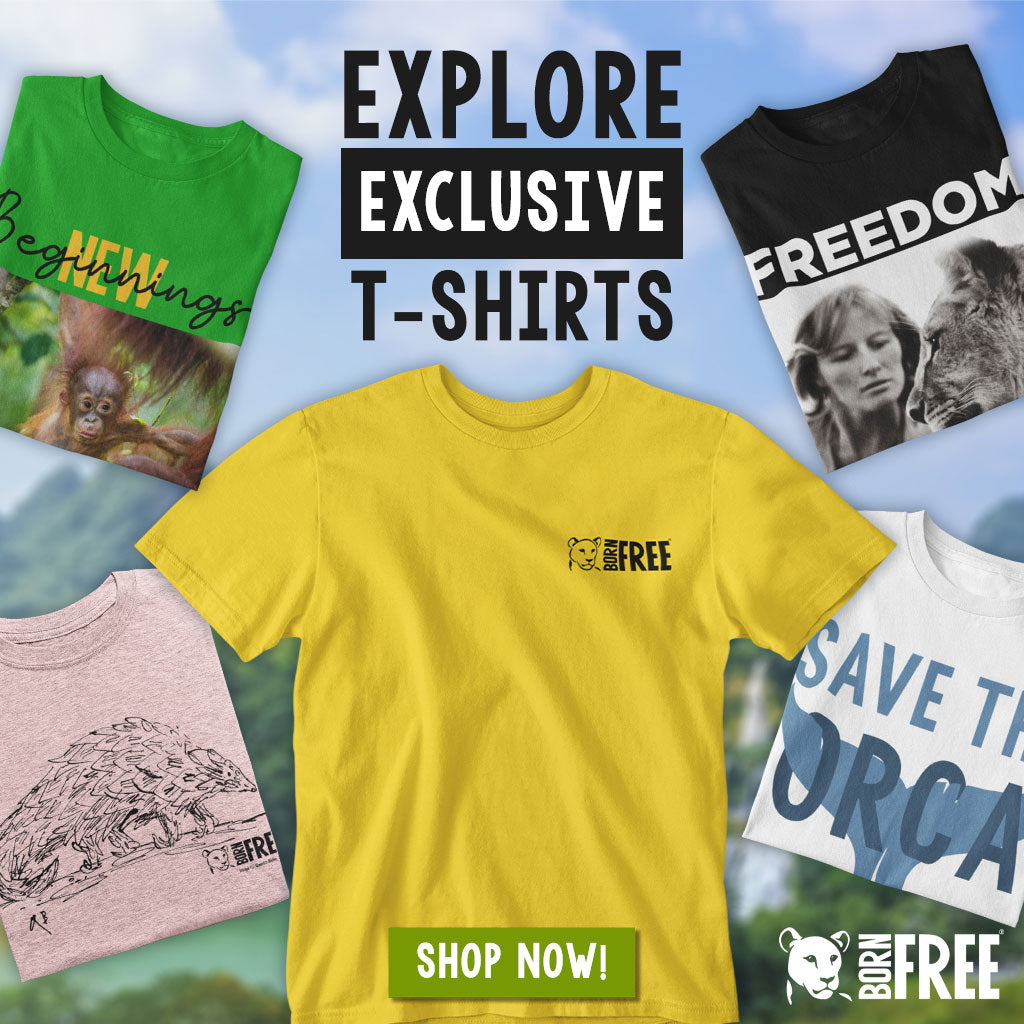 Born Free T-Shirts Collection - Shop Now