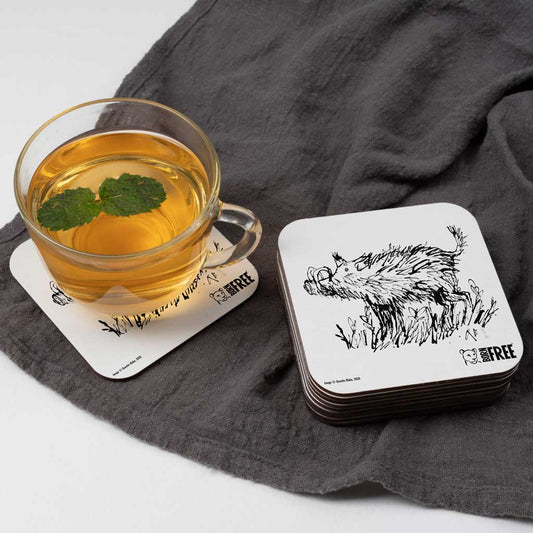 Quentin Blake Warthog Coaster