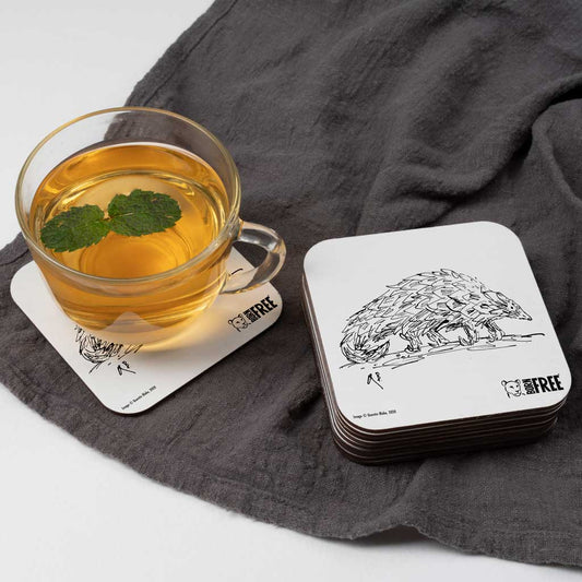 Quentin Blake Pangolin Coaster