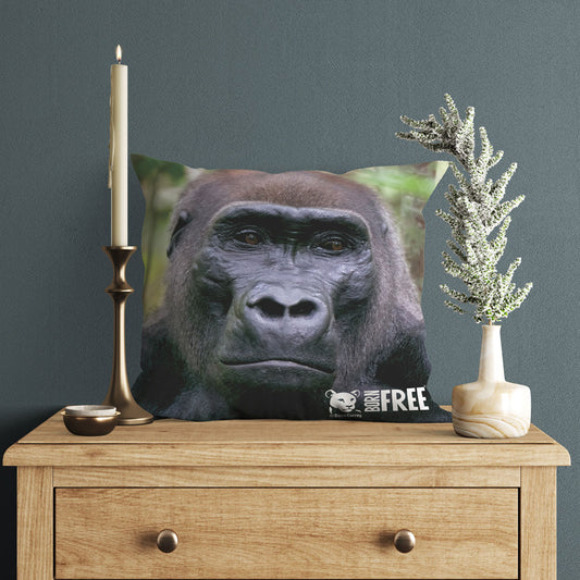 Kamaya the Silverback Organic Cushion by Dave Currey