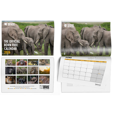 Born Free 2026 Official Wildlife Calendar
