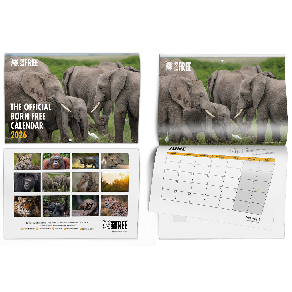 Born Free 2026 Official Wildlife Calendar