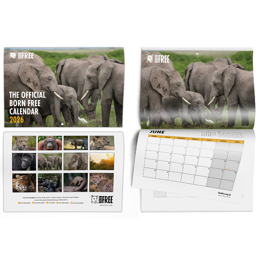 Born Free 2026 Official Wildlife Calendar