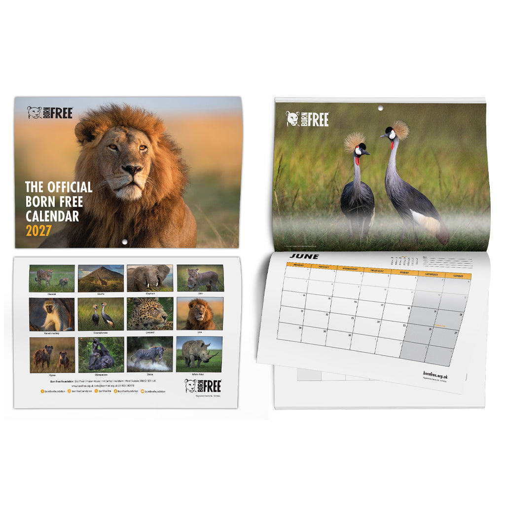 Born Free 2027 Official Wildlife Calendar