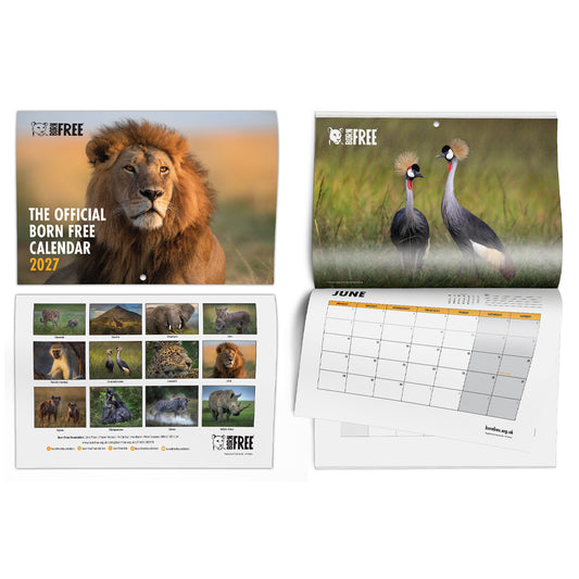 Born Free 2027 Official Wildlife Calendar