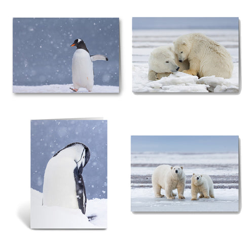 Richard Bernabe Christmas Card Variety Pack of 12