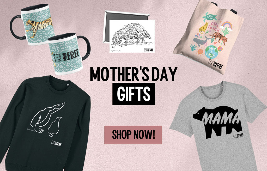 Mother's Day Gifts