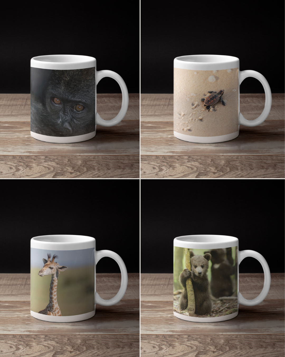 New Beginnings Mug Set (2)