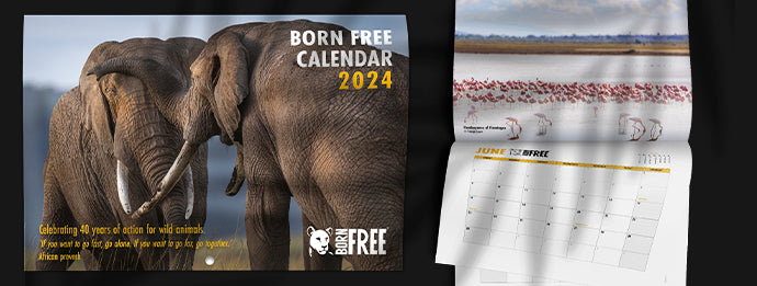 Born Free Calendar