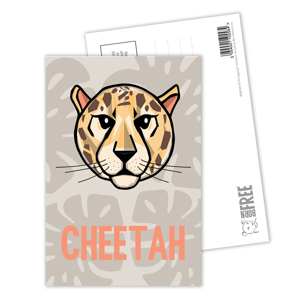Cheetah Postcard Pack of 8