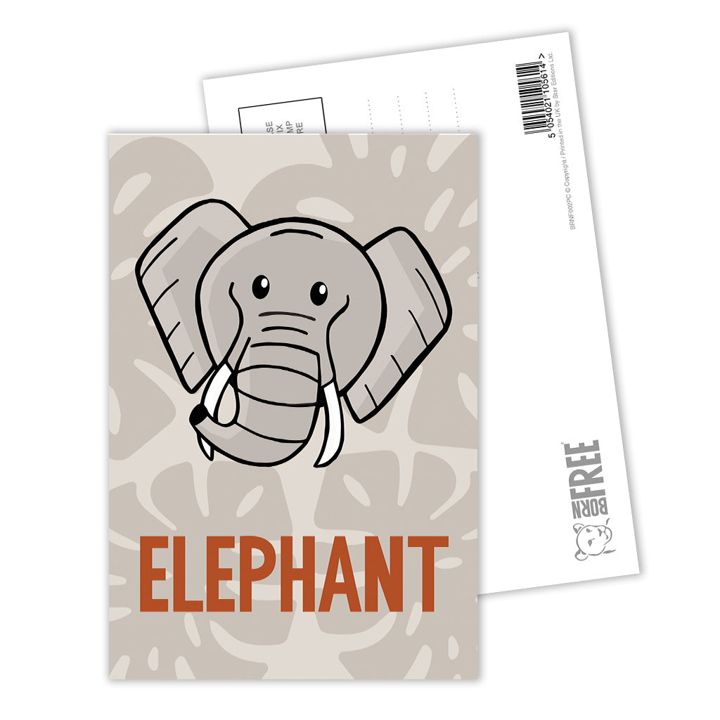 Elephant Postcard Pack of 8