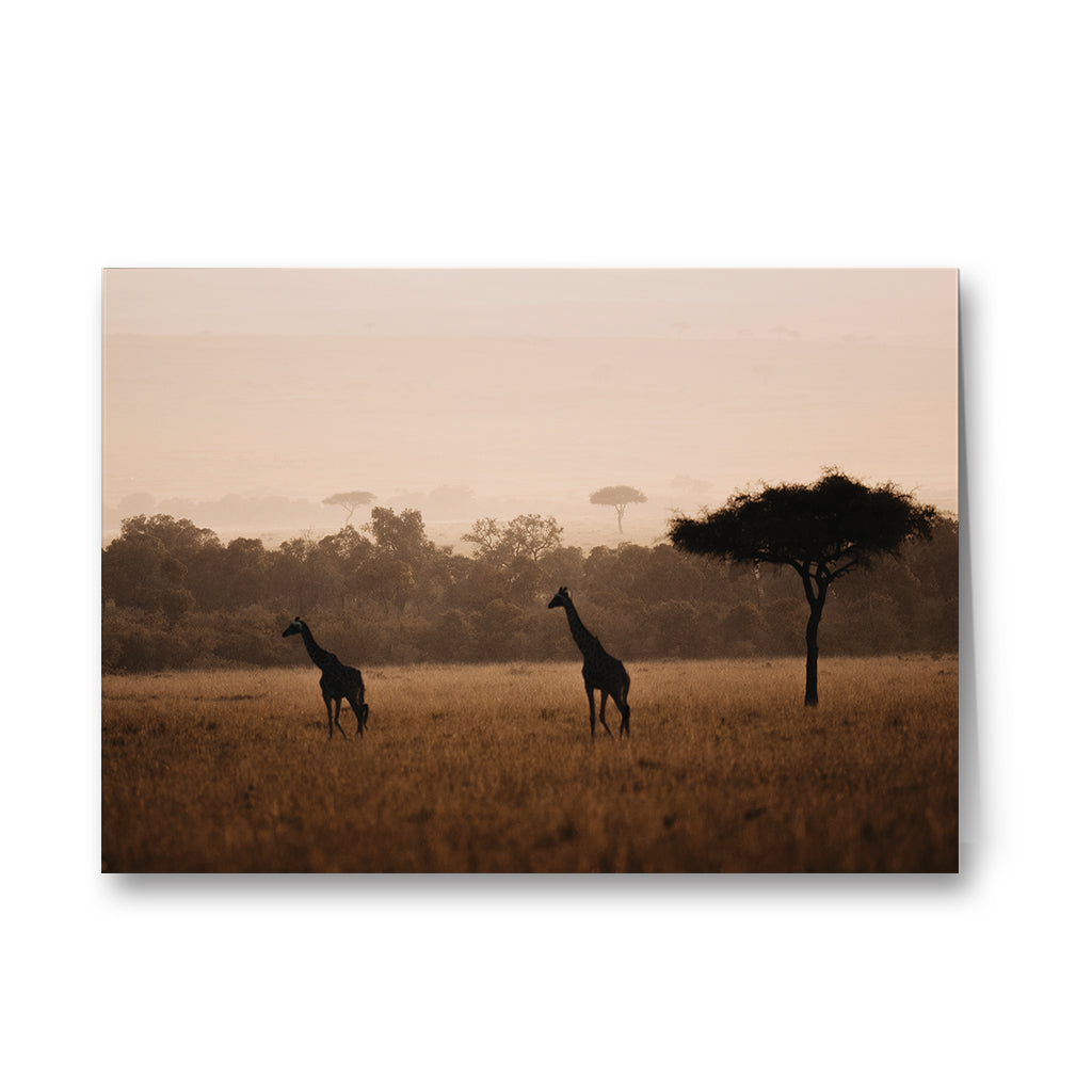 Giraffes in the Wild Greeting Cards - Pack of 6