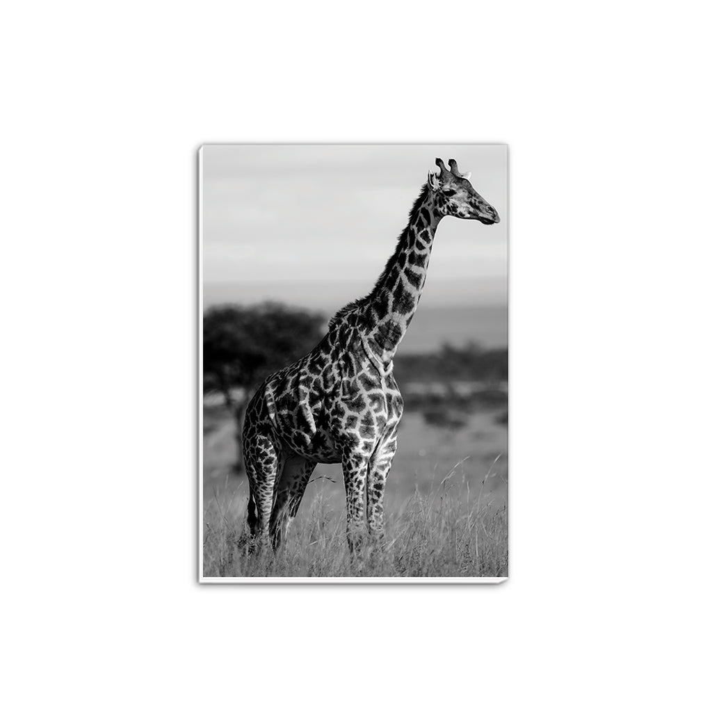 Tall Standing Giraffe A5 Notepad - Born Free Photography