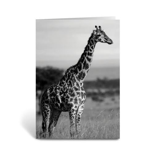 Tall Standing Giraffe Greeting Cards - Pack of 6