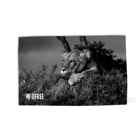 Lioness Black and White Tea Towel - Born Free Photography