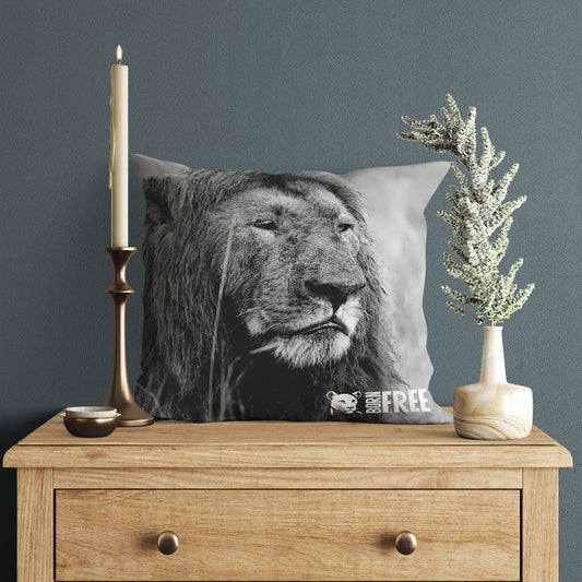 Proud Lion Black and White Organic Cushion - Born Free Photography