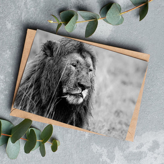 Proud Lion Black and White Greeting Cards - Pack of 6