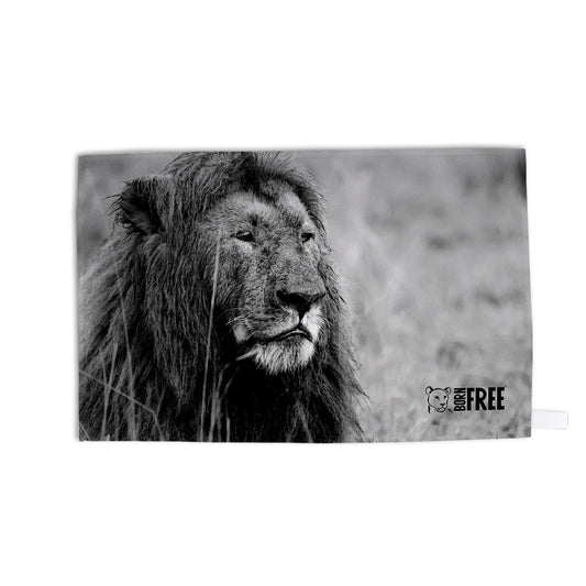 Proud Lion Black and White Tea Towel - Born Free Photography