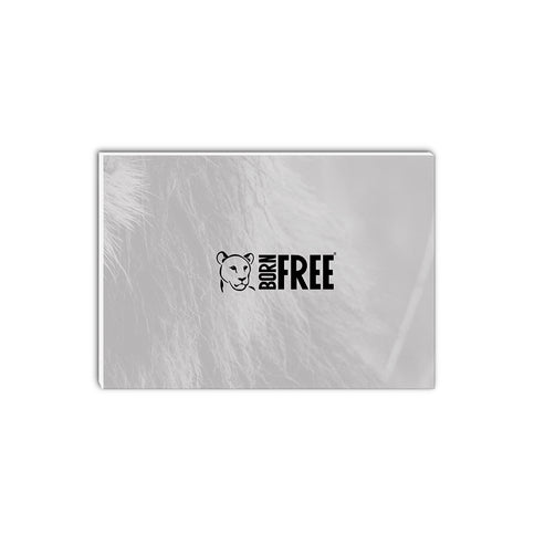 Happy Lion Black and White A5 Notepad - Born Free Photography