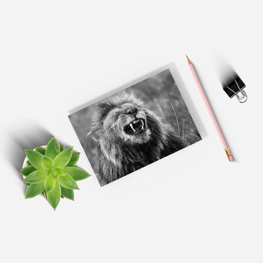 Happy Lion Black and White A5 Notepad - Born Free Photography