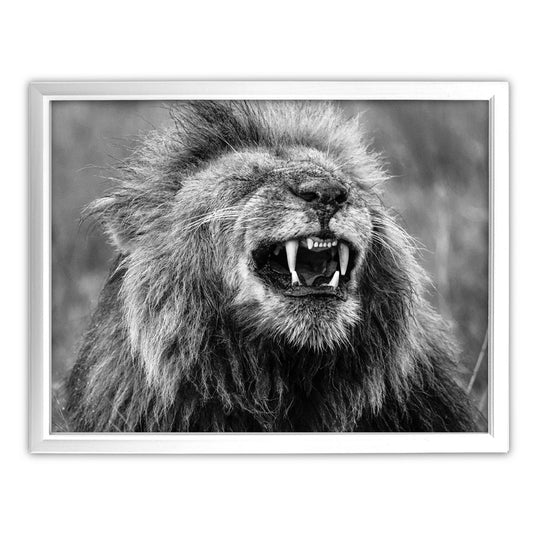 Happy Lion Art Print by Will Travers