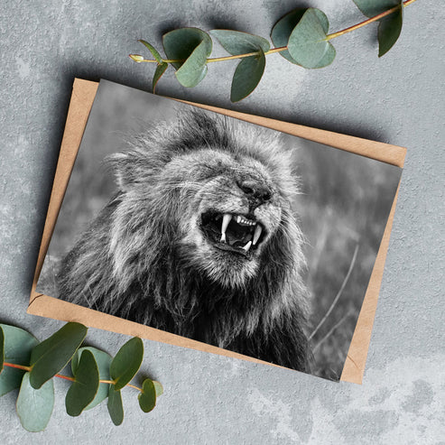 Happy Lion Black and White Greeting Cards - Pack of 6
