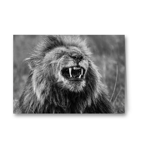 Happy Lion Black and White Greeting Cards - Pack of 6