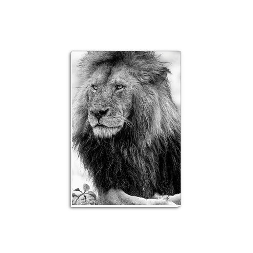 Handsome Lion Black and White A5 Notepad - Born Free Photography