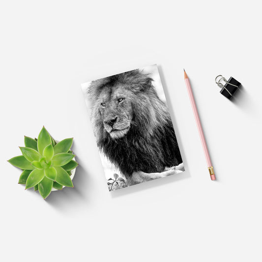 Handsome Lion Black and White A5 Notepad - Born Free Photography
